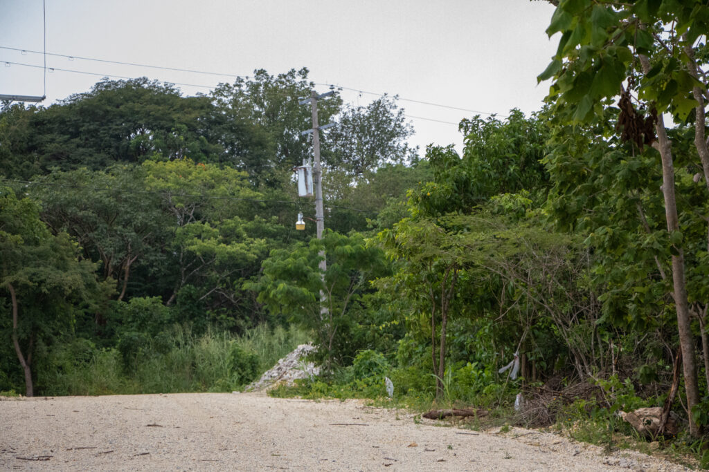 SHOOTING TERRALTA 31