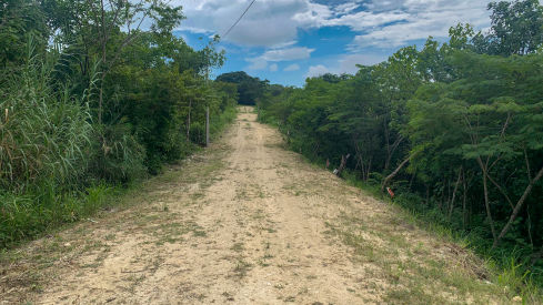 altavista-calle-ppal-489x275