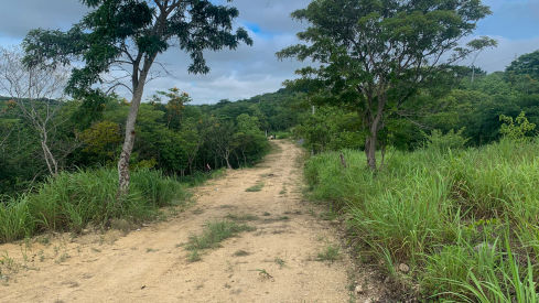 calle-principal-altavista-489x275